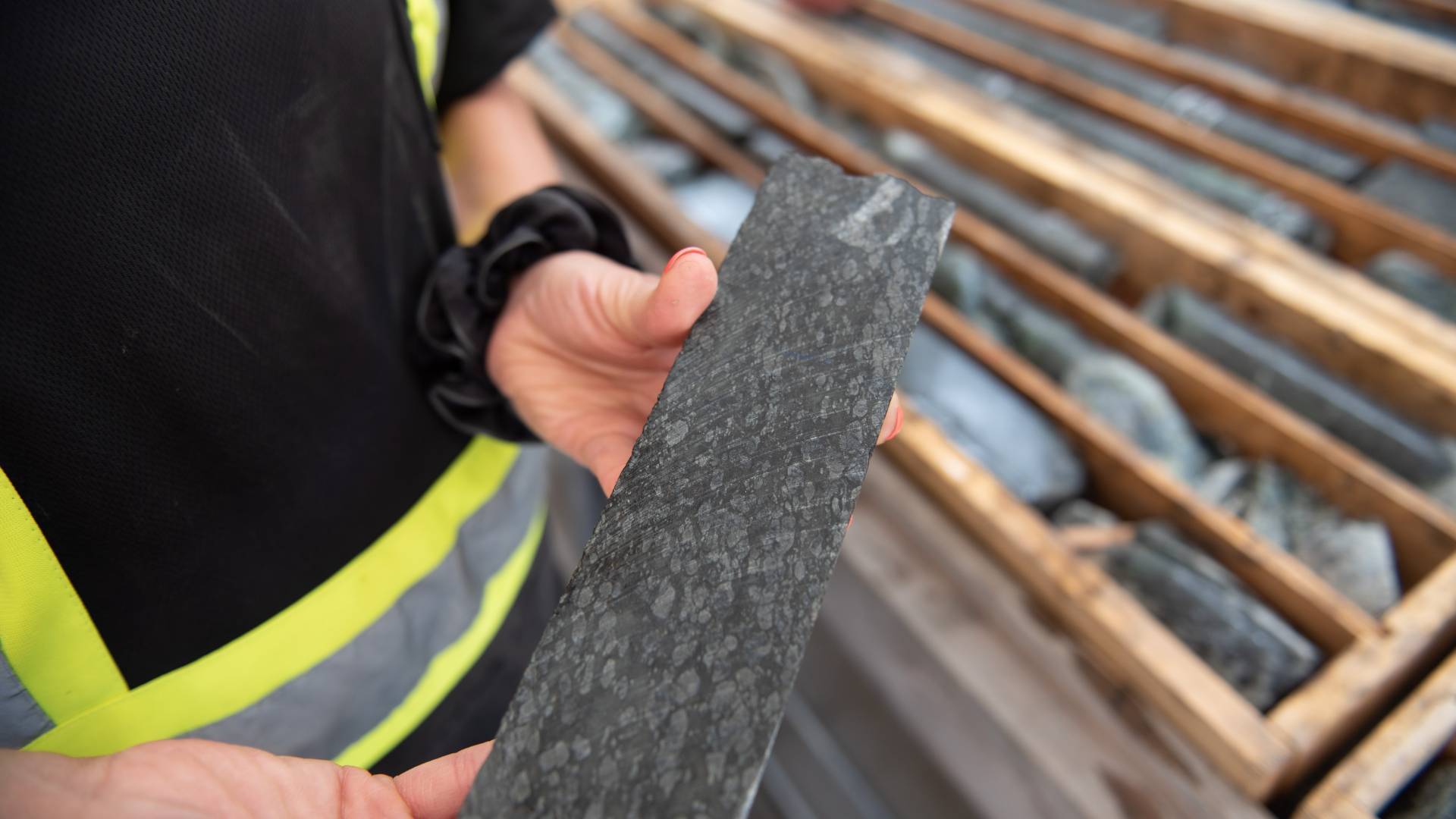 A worker holding a baptiste core sample