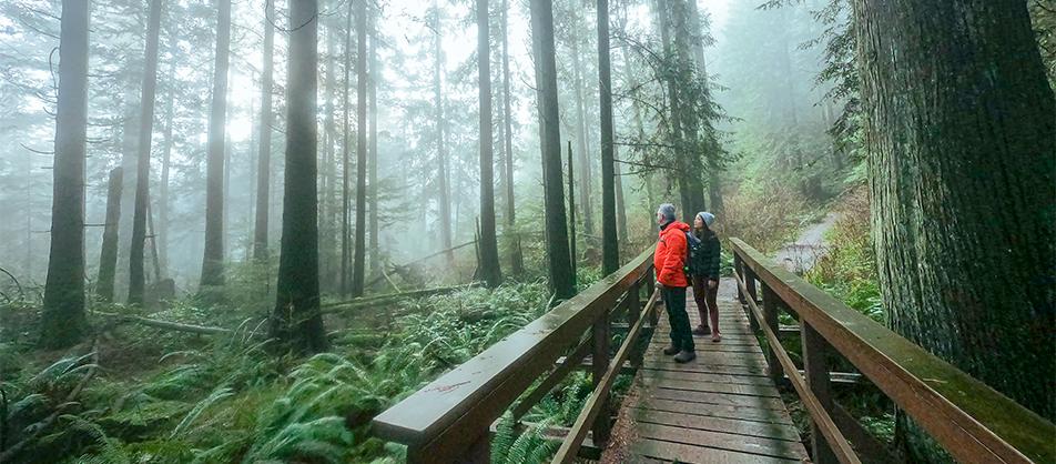 Two hikers in a wet forest in North Vancouver.